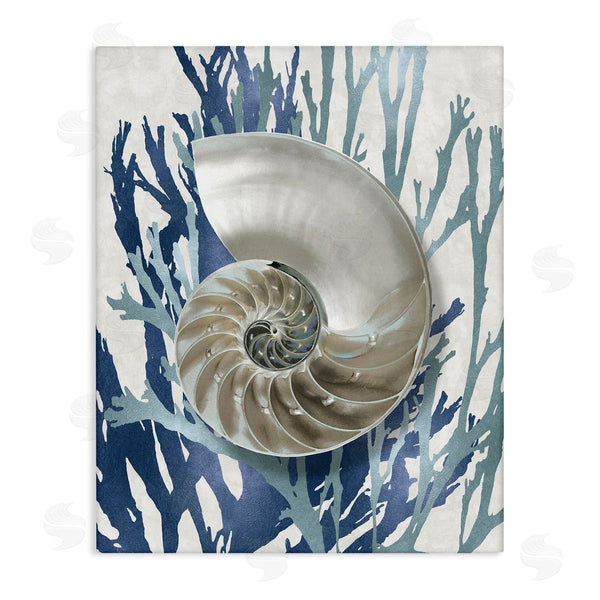 stupell industries Caroline Kelly | Shell Coral Beach Blue Design stupell industries Caroline Kelly | Shell Coral Beach Blue Design