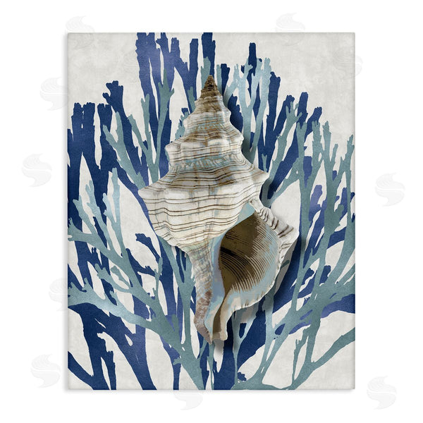 stupell industries Caroline Kelly | Tower Shell Coral Blue Beach