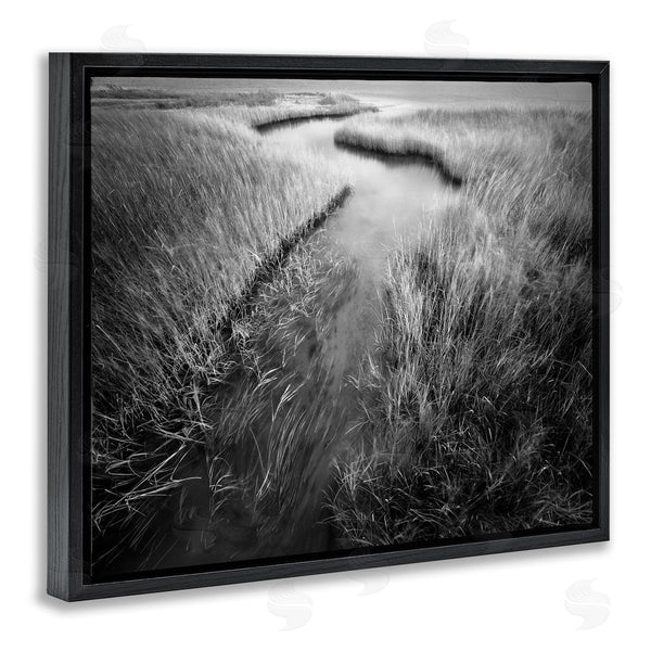 Stupell Industries Chip Forelli | Meandering Estuary View Wall Art