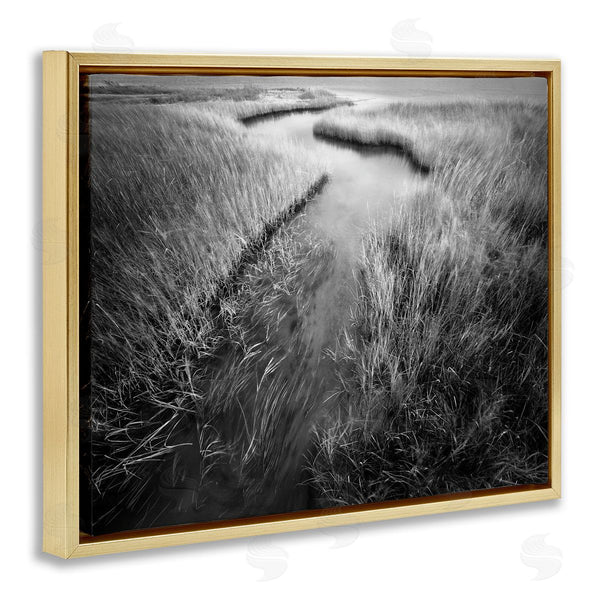 Stupell Industries Chip Forelli | Meandering Estuary View Wall Art