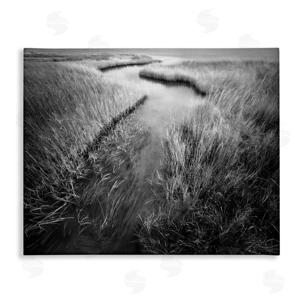 stupell industries Chip Forelli | Meandering Estuary View Wall Art