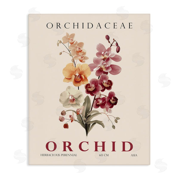 stupell industries Christopher Giampietro | Natural Orchid Bundle