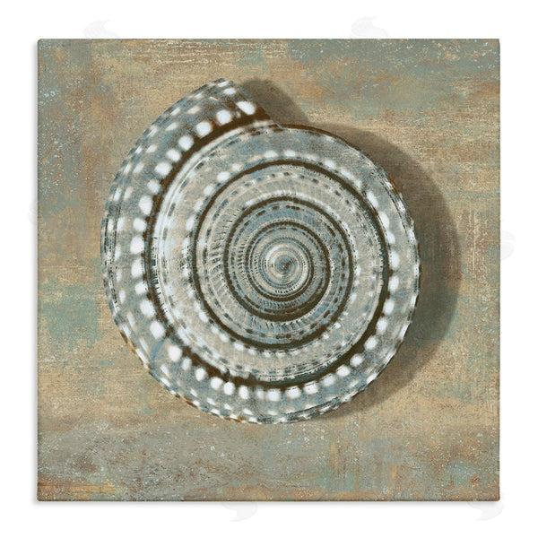 stupell industries Christy McKee | Spiral Shell Beach Objects Design Wall Art