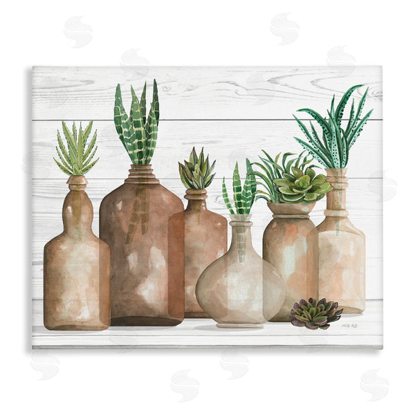 stupell industries Cindy Jacobs | Various Succulents Plants Vases Jars Striped Leaves Wall Art
