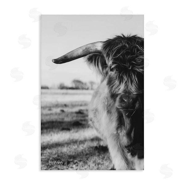 stupell industries Dakota Diener | Baby Cattle in Monochrome Wall Art