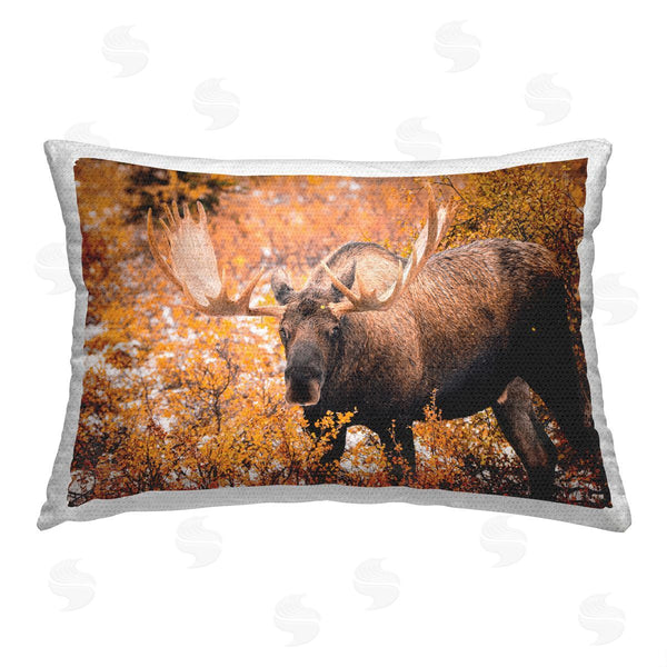 Stupell Industries Daniel Sproul | Moose Among Fall Foliage