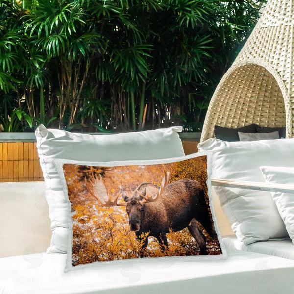 Stupell Industries Daniel Sproul | Moose Among Fall Foliage