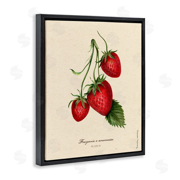 Stupell Industries Danielle Murray | Strawberry Fruit Portrait