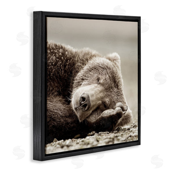 Stupell Industries Danita Delimont | Cozy Sleeping Bear