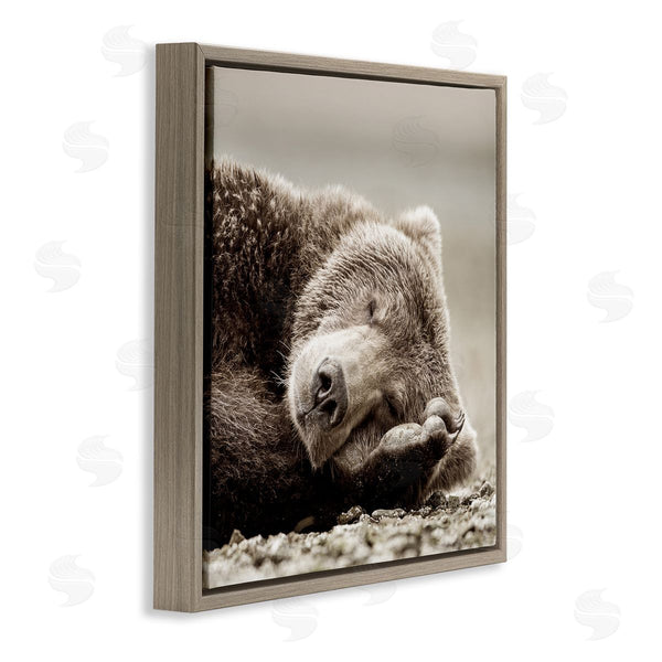 Stupell Industries Danita Delimont | Cozy Sleeping Bear
