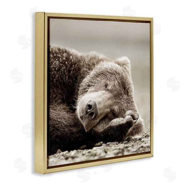 Stupell Industries Danita Delimont | Cozy Sleeping Bear
