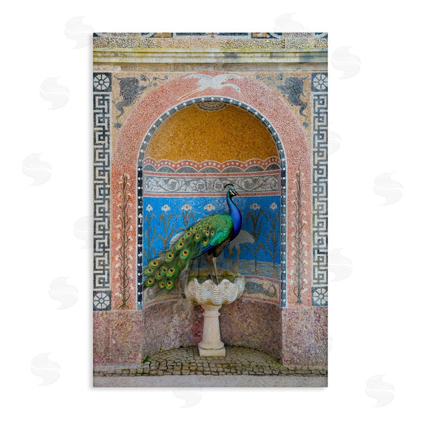 stupell industries Danita Delimont | Peacock with Traditional Architecture