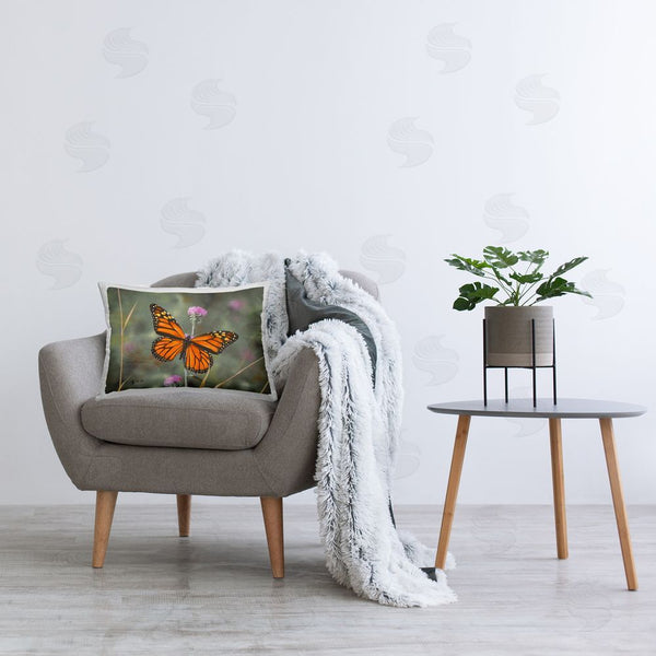 Stupell Industries Mark Kelso | Summer Visitor Butterfly
