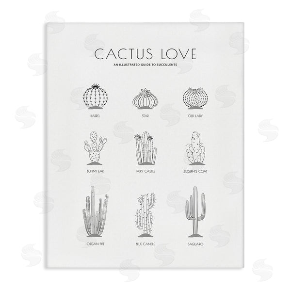 stupell industries Martina Pavlova | Illustrated Guide to Succulents Minimal Modern Cactus Plant Wall Art