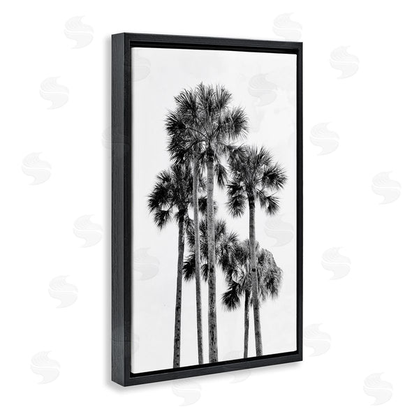 Stupell Industries Natalie Carpentieri | Black & White Palm Tropics