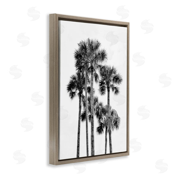 Stupell Industries Natalie Carpentieri | Black & White Palm Tropics