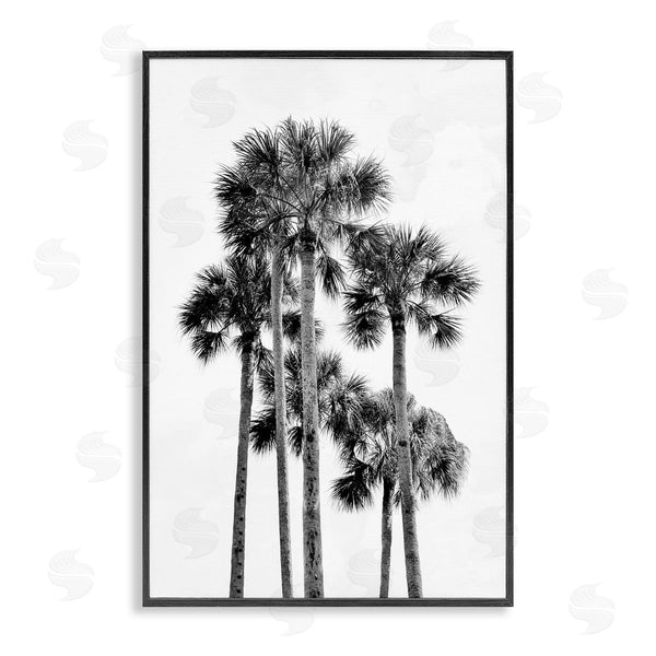 stupell industries Natalie Carpentieri | Black & White Palm Tropics