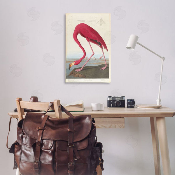 Stupell Industries One1000paintings | Classic American Flamingo Wall Art