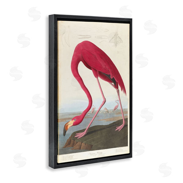Stupell Industries One1000paintings | Classic American Flamingo Wall Art
