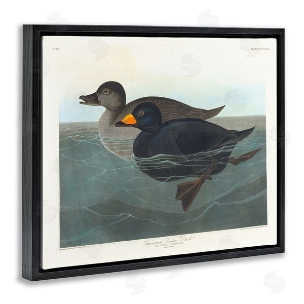 Stupell Industries One1000paintings | Classic American Scoter Duck Wall Art