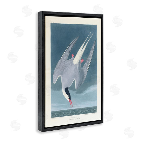 Stupell Industries One1000paintings | Classic Arctic Tern Bird Wall Art