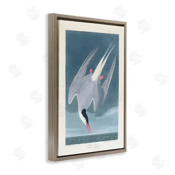 Stupell Industries One1000paintings | Classic Arctic Tern Bird Wall Art