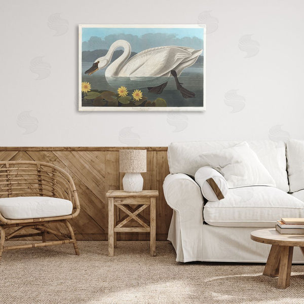 Stupell Industries One1000paintings | Classic Common American Swan Wall Art