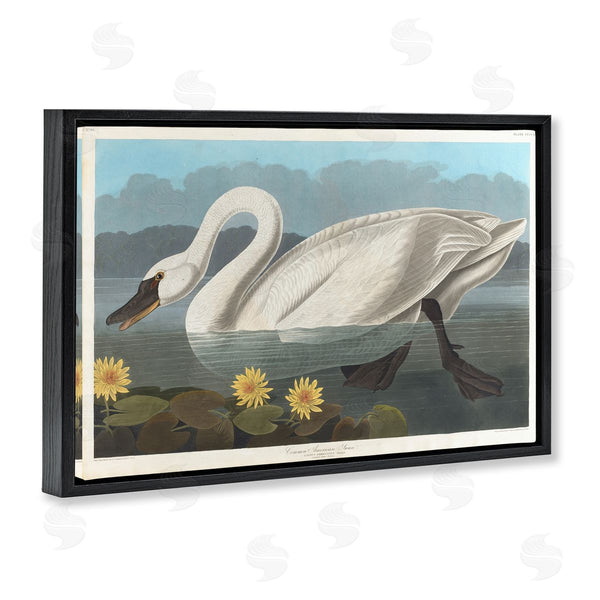 Stupell Industries One1000paintings | Classic Common American Swan Wall Art