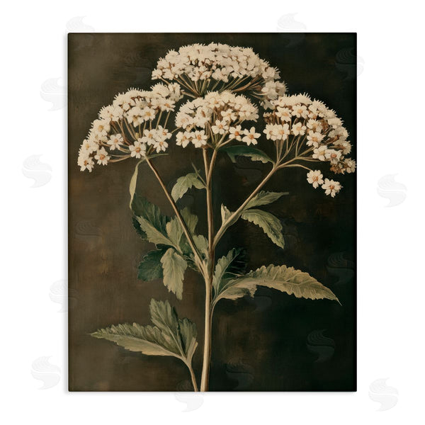 stupell industries Petal Prints Design | Sophisticated Floral Portrait Wall Art