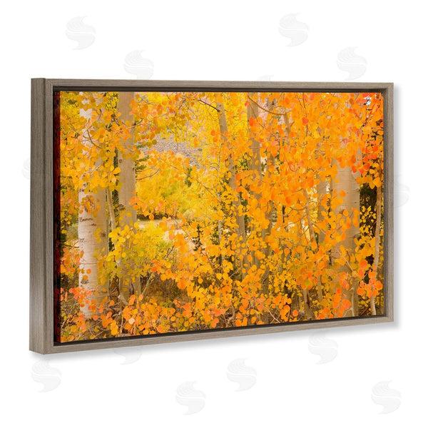 Stupell Industries Richard Wong | Dense Birch Foliage Wall Art