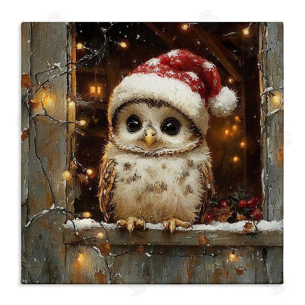 stupell industries Riley B | Festive Owl with Holiday Lights