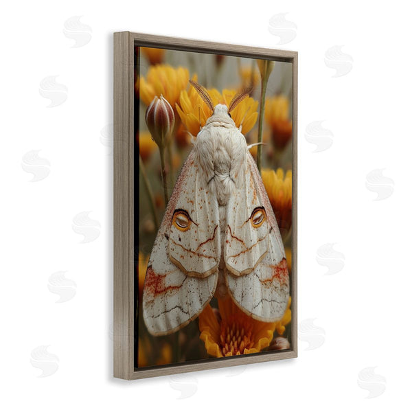 Stupell Industries Roozbeh Bahramali | Delicate Luna Moth