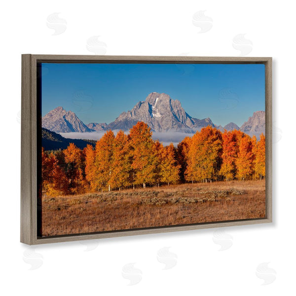 Stupell Industries Shelley Carlisle | Autumn Tree Line With Mountain Wall Art