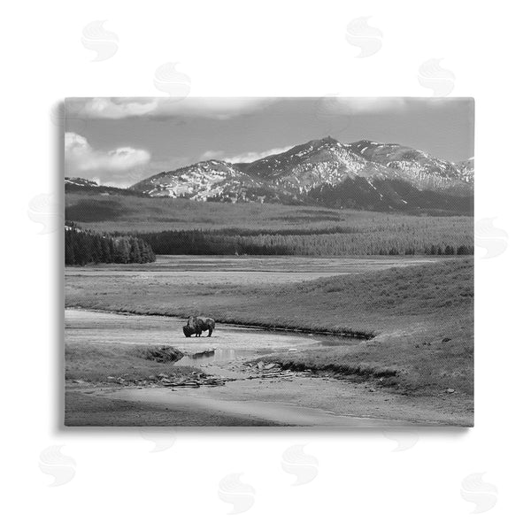 stupell industries Steve Toole | Bison in Mountain Scene Wall Art