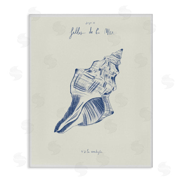 stupell industries 1x | Filles De La Mer Conch Shell