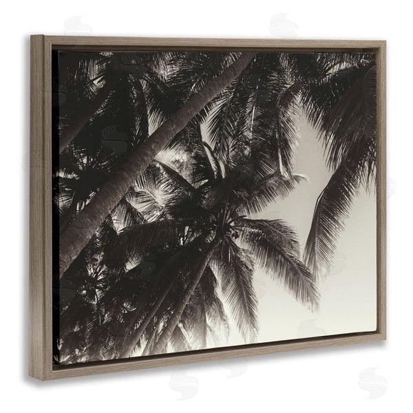 Stupell Industries Acosta | Dark Palm Leaves