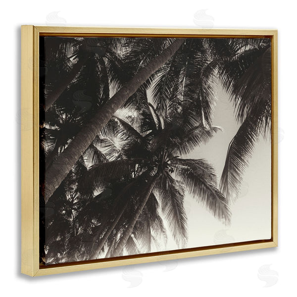 Stupell Industries Acosta | Dark Palm Leaves