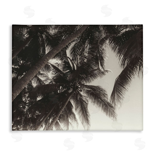 stupell industries Acosta | Dark Palm Leaves