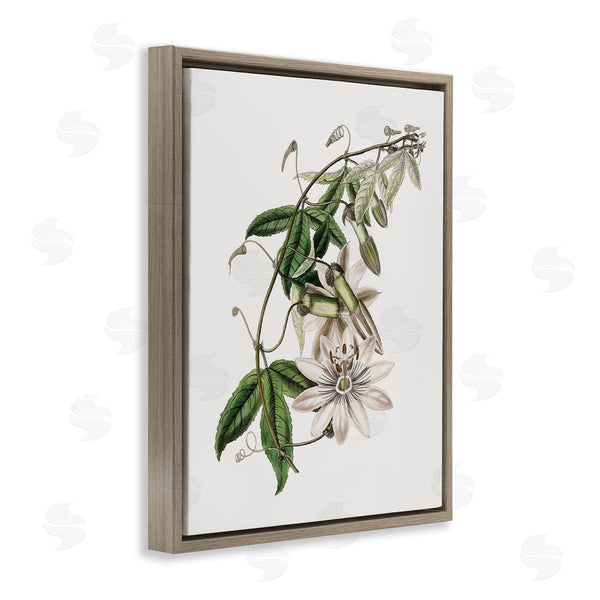 Stupell Industries CAD Designs | Vintage Lily Plant