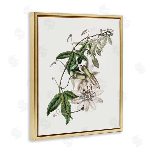 Stupell Industries CAD Designs | Vintage Lily Plant