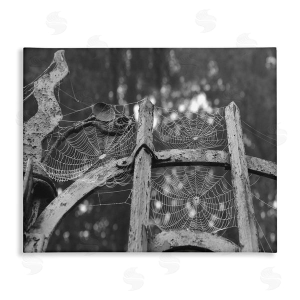 stupell industries Stupell Studio | Spooky Spider Web Gate Wall Art