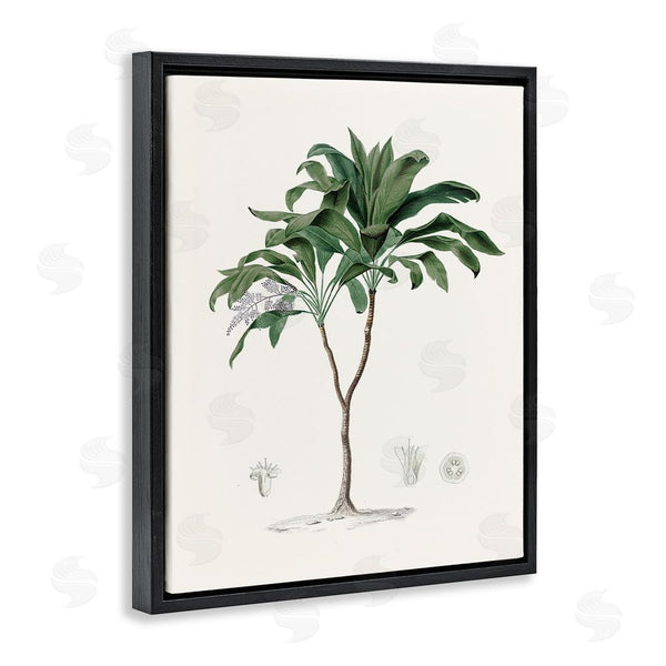 Stupell Industries Val Rhodes | Coastal Palms Vintage Wall Art