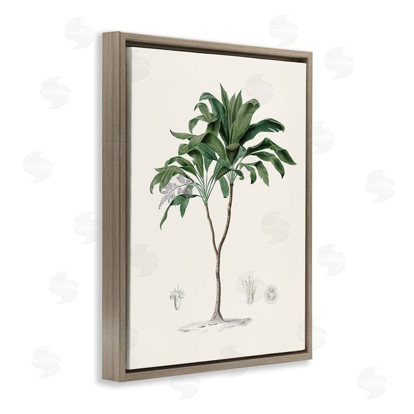 Stupell Industries Val Rhodes | Coastal Palms Vintage Wall Art