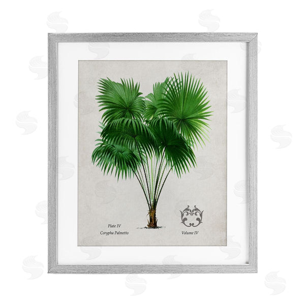 stupell industries Val Rhodes | Vintage Fan Palm Plant