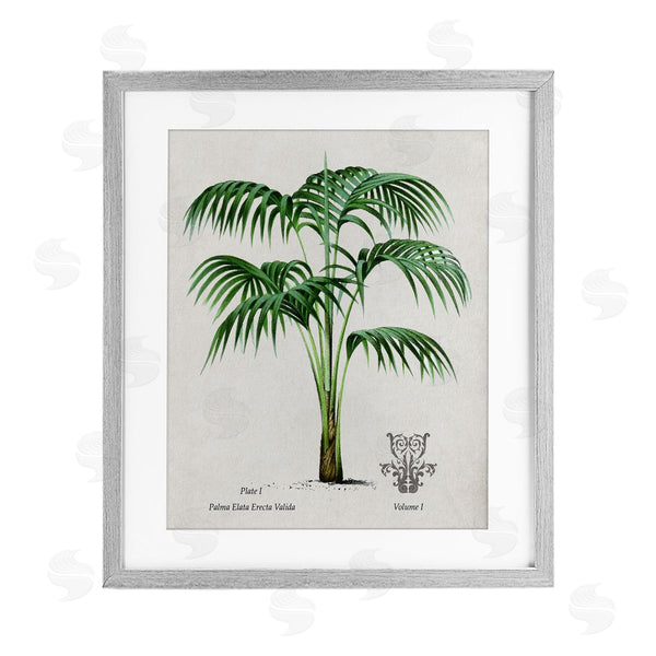 stupell industries Val Rhodes | Vintage Palm Illustration