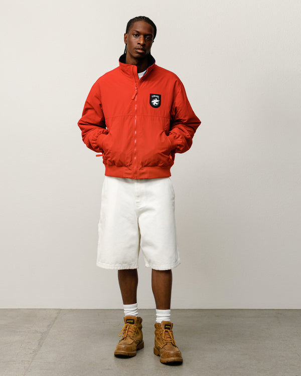 stüssy CANVAS WORK SHORT Bone