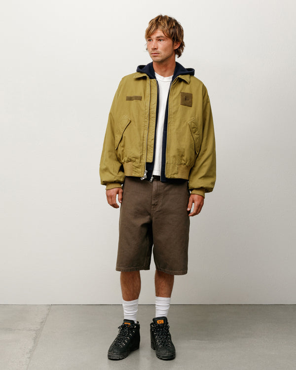 stüssy WASHED CANVAS WORK SHORT Brown