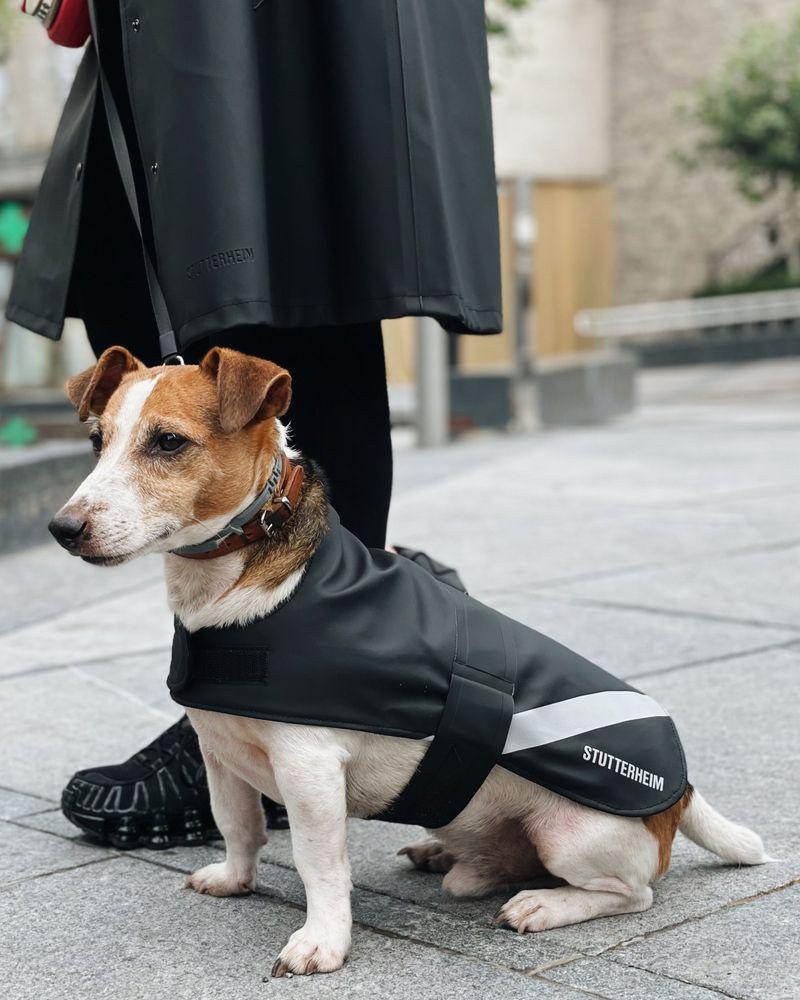Stutterheim Dog Raincoat Black