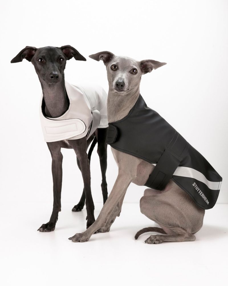 Stutterheim Dog Raincoat Black