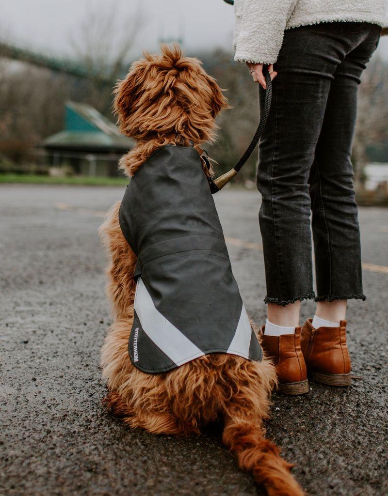 stutterheim Dog Raincoat Black